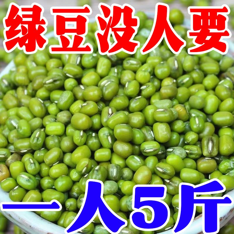 【特价抢购】新货农家绿豆新鲜发芽绿豆糕五谷杂粮豆芽解暑绿豆汤
