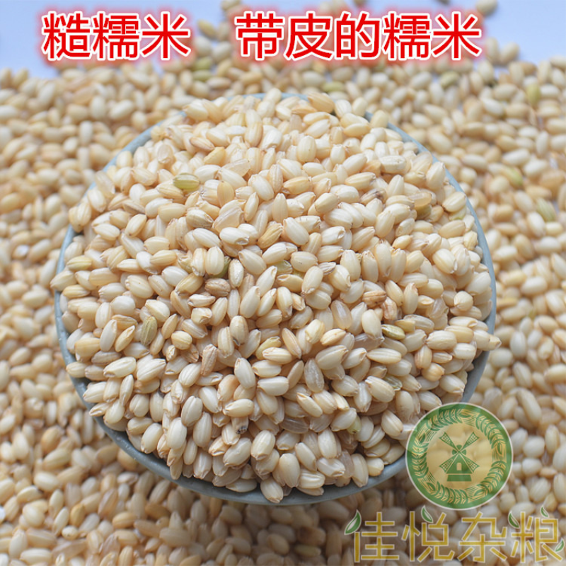 糙糯米 圆粒粘糯米糯糙米 粗粮可发芽带皮糯米酿酒500g 真空包邮