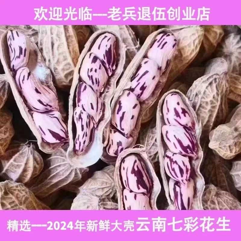 2024年新货正宗云南七彩花生原味生熟牛奶花生米带壳新鲜晒干炒熟