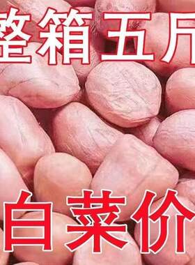 【5斤大降价】现剥新花生米新货粉皮新鲜大粒榨油白沙花生米10g装