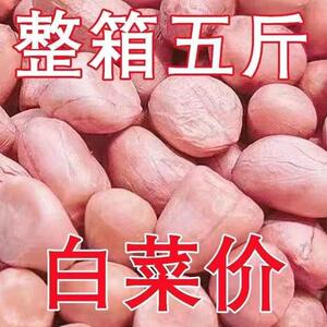 【5斤大降价】现剥新花生米新货粉皮新鲜大粒榨油白沙花生米10g装