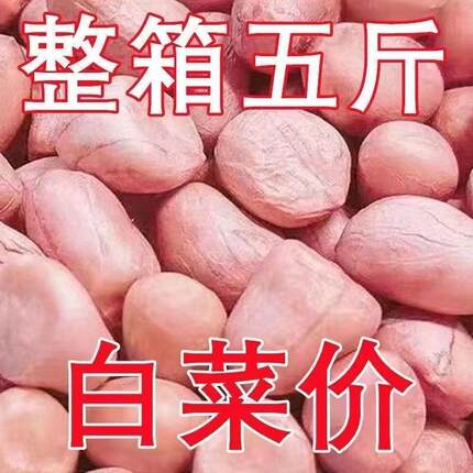 【5斤大降价】现剥新花生米新货粉皮新鲜大粒榨油白沙花生米10g装