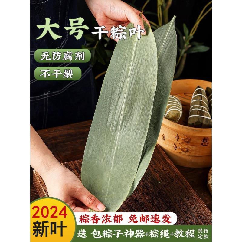 干粽叶大码特大号粽子叶免邮麻竹叶新鲜家商用包粽子叶子端午棕叶