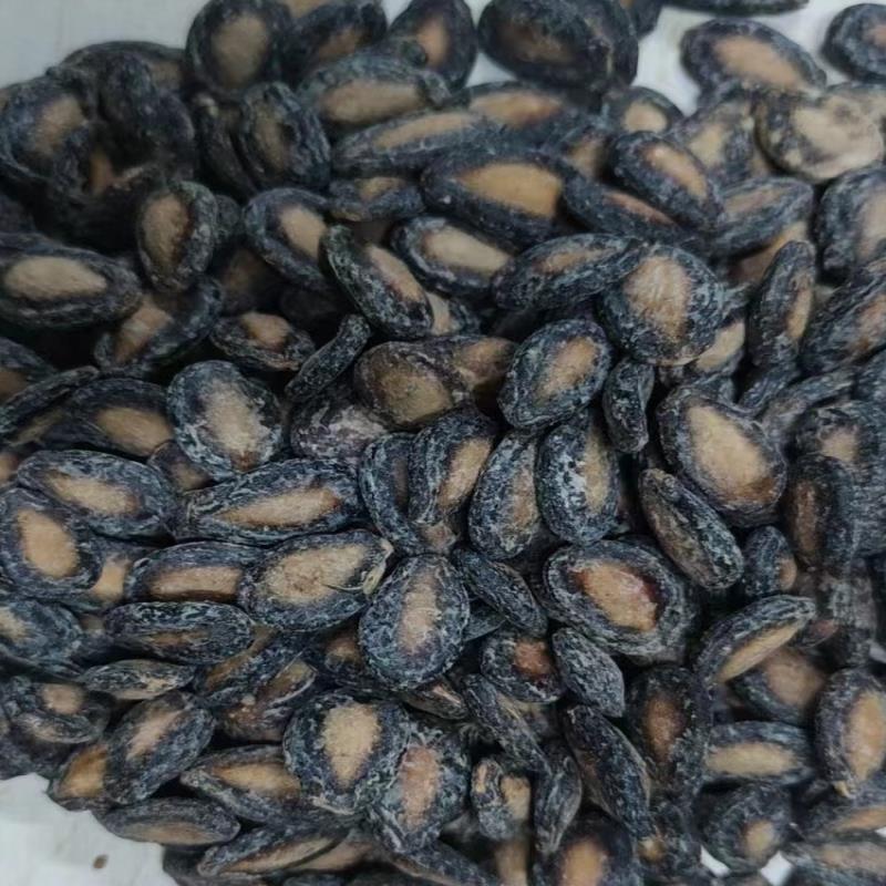 新货蚌埠中片小片奶油椒盐西瓜子籽净含量500g散装炒货零食免邮