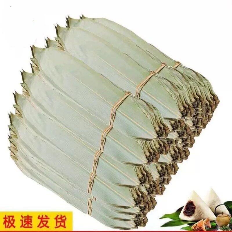 粽叶免邮新鲜大号粽叶100片箬叶包粽子的叶子野生粽子叶干粽叶