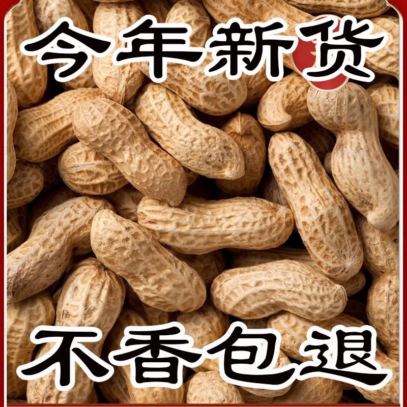 【0添加】炒花生原味炒熟喜庆沙炒铁锅新货带壳熟花生坚果零食51g