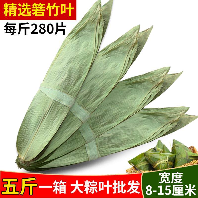 粽叶新鲜粽子叶干大号5斤箬叶特大端午节包粽子专用嘉兴棕叶批发