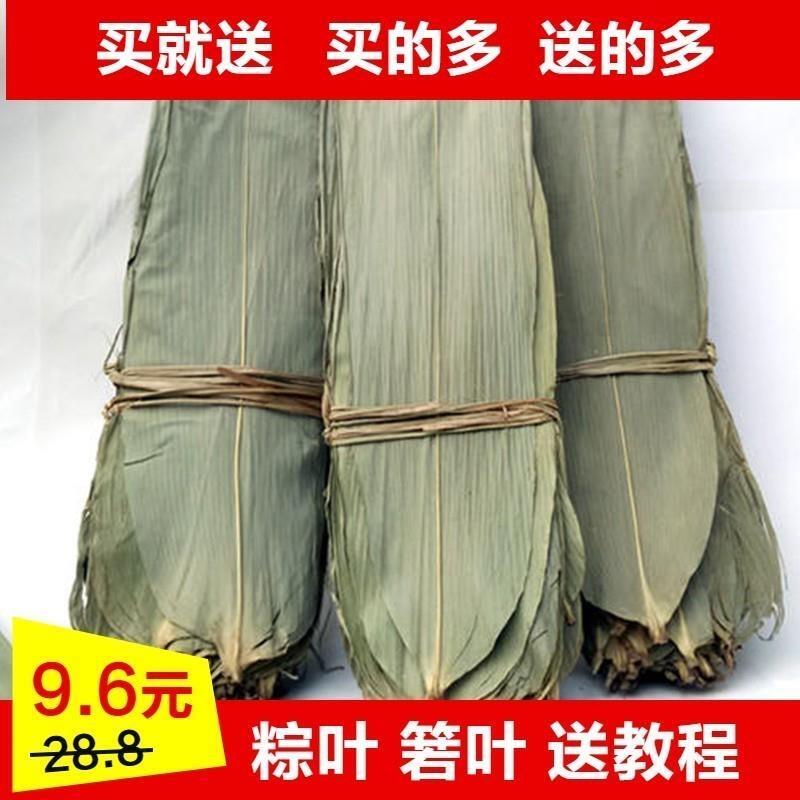 粽叶免邮新鲜大号干500张 烘干大粽叶箬叶农家自然包粽子皮干粽叶