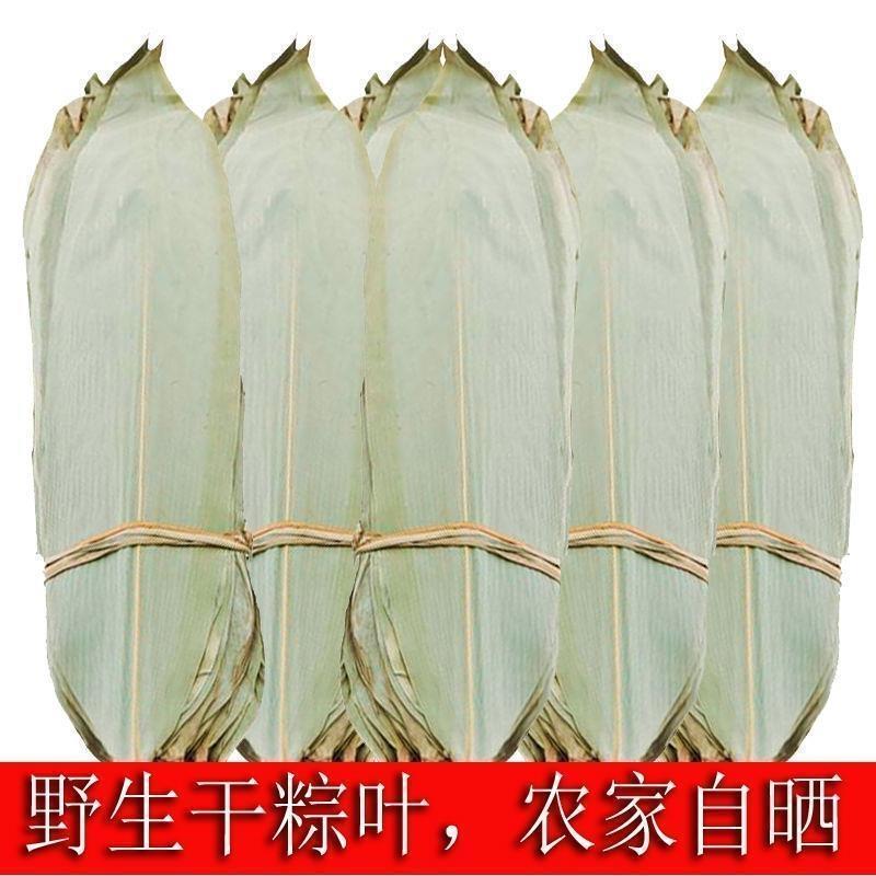 粽叶干大粽子叶端午节家用芦苇棕叶鲜棕叶新鲜晒干大号包粽子叶子