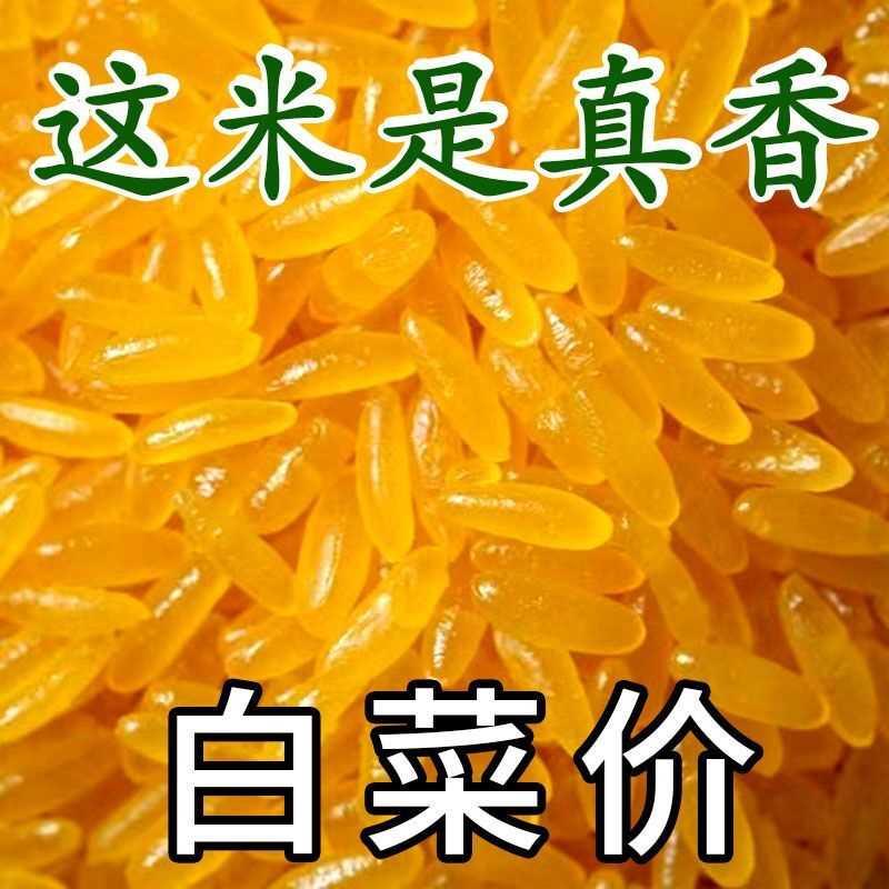 正宗东北黄金米新米正宗黄金大米伴侣五谷杂粮特产黄色的大米
