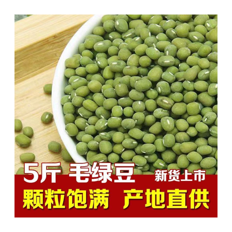 新鲜大粒毛绿豆特级老品种农家生豆芽绿豆汤绿豆沙原生态非转基因