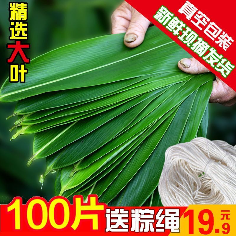 湖北箬叶 新鲜粽叶 粽子叶 大粽叶 真空包装家用包粽子叶 粽叶