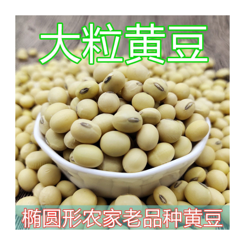 2023年椭圆形大黄豆250g/5斤农家自种老品种土黄豆大粒打豆浆豆腐