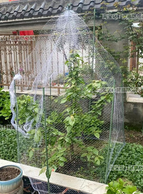 极速果树防鸟丝网果园防鸟网种菜菜地防鸟大棚养殖网阳台嘉宝果防