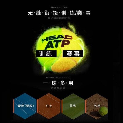 极速3 Gold Tennis Balls in Plastic Can for CTA Professional