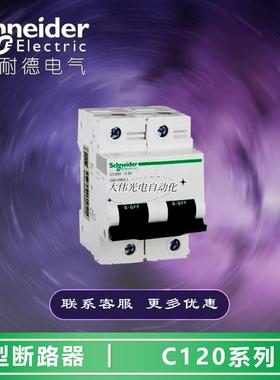 A9N19829     小型断路器    C120H   2P   D125A