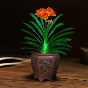 (家养花卉植物高端君子兰盆栽水培水培室内好养绿植小型适合阳台