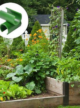 50 Pcs Vine Struts Vegetable Fixing Buckle Vines Garden