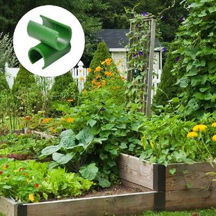 Struts Vegetable Fixing Vines Vine Buckle Garden Pcs