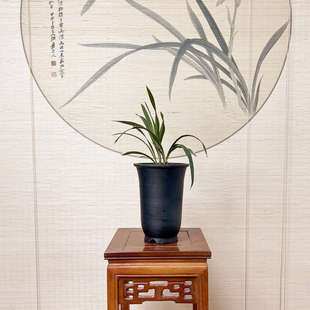 龙汶  经典透气兰花花盆纯手工泥瓦盆 黑陶大高金钟款热卖吊兰盆