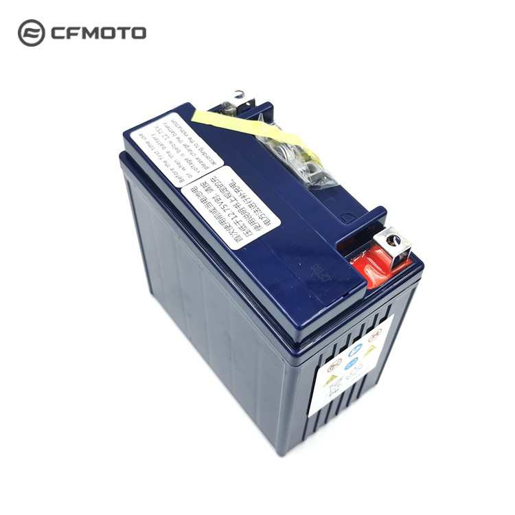 春风摩托车ST狒狒150NK250SR400GT650MT国宾700原厂电瓶800蓄电