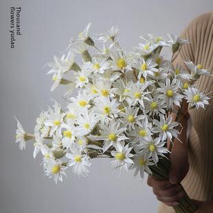 白色紫罗兰装饰文心兰干花花束网红ins风家居客厅摆件小滨菊花瓶