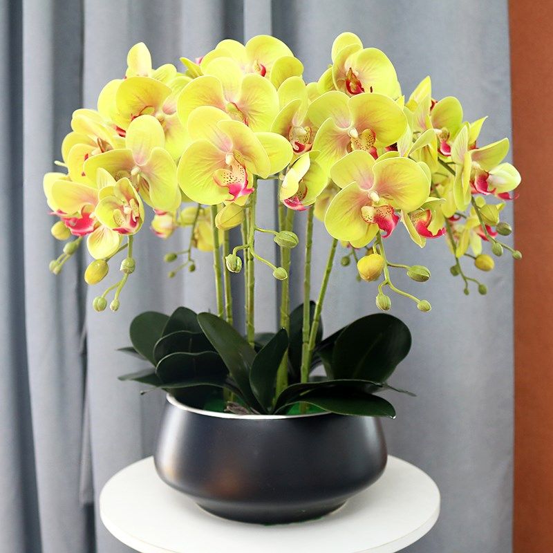 精选蝴蝶兰仿真花大盆手感装饰花家居客厅假花摆件餐桌绢花电视柜,家居饰品,仿真花/假花,淘宝优惠券,粉丝福利购,淘宝优惠卷