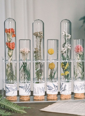 精选玻璃试管干花手作样板间书房桌面摆件现代实验风植物标本道具