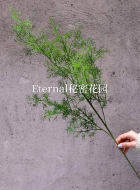 仿真绿植珊瑚草金鱼草雾松迷雾草秋色婚礼堂路引绿色跨境