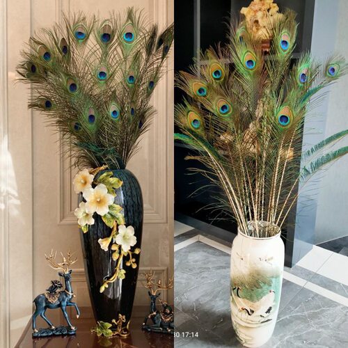 真孔雀羽毛家居客厅摆设孔雀翎羽毛真毛手工diy装饰插瓶插花摆件