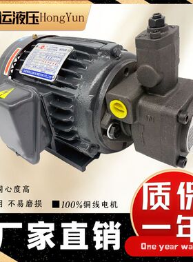 液压油泵电机组VP20+0.75KW1.5液压泵总成内轴电机液压站配件系统