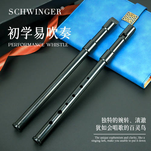 Schwinger爱尔兰哨笛便士