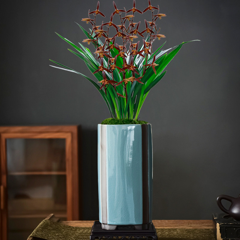 青瓷哥窑手绘陶瓷花盆花瓶紫砂胎透气兰花紫檀盆室内微.景观盆景,鲜花速递/花卉仿真/绿植园艺,花盆,淘宝优惠券,粉丝福利购,淘宝优惠卷