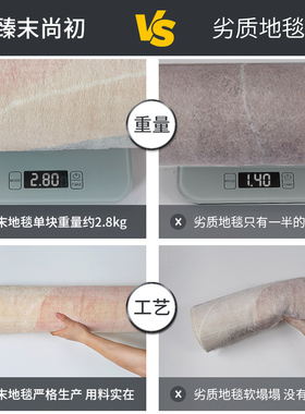地毯卧室ines风床边地毯房间飘窗垫全铺绒面加厚天津沙发地毯客厅