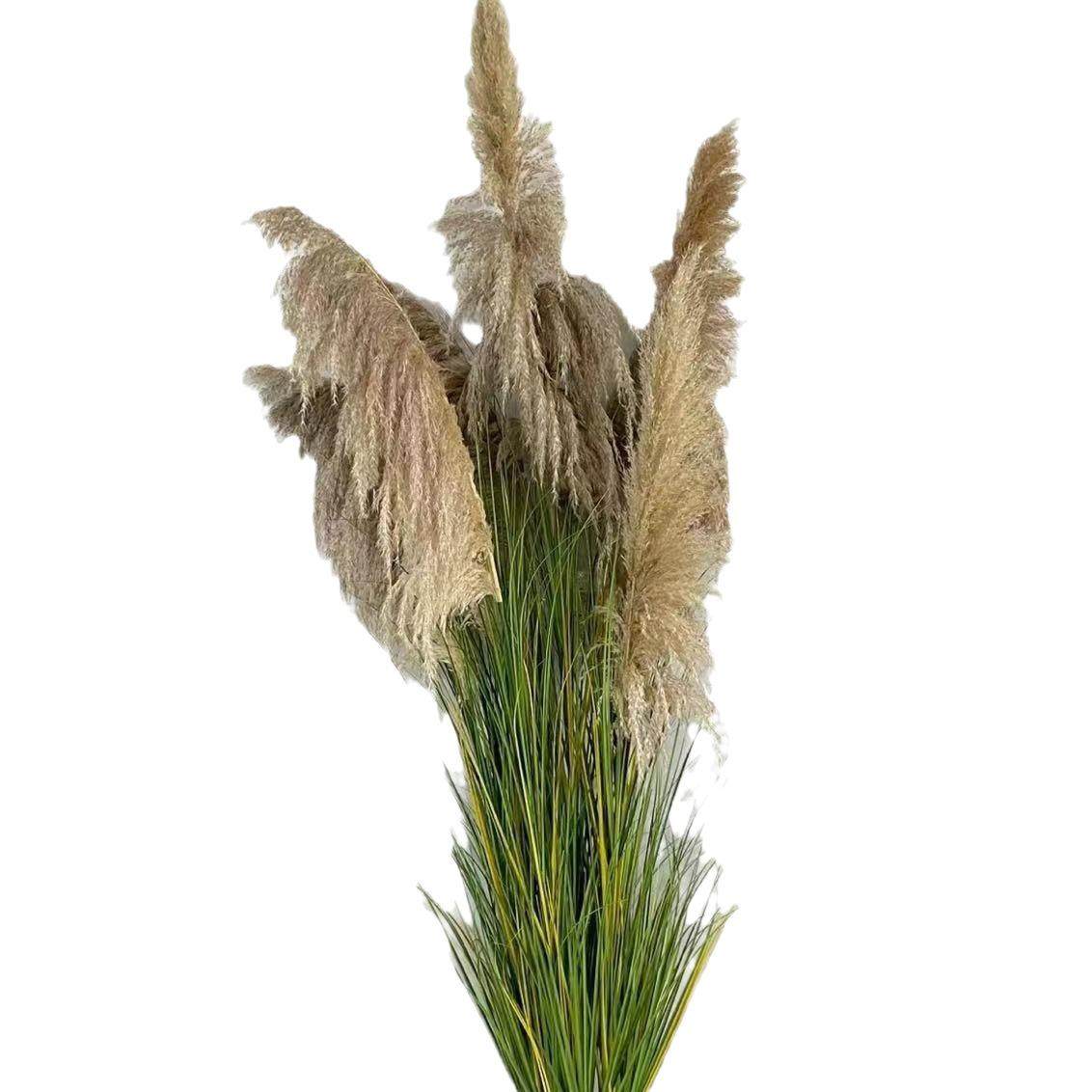 天然芦苇洋葱草秋色芦苇适用商场酒店装饰摆件场景布置影视拍摄,鲜花速递/花卉仿真/绿植园艺,仿真绿植,淘宝优惠券,粉丝福利购,淘宝优惠卷