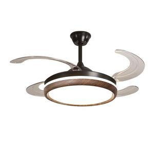 变形风扇灯2025新款吊扇灯用客厅led餐厅家灯卧室频静音隐电扇灯