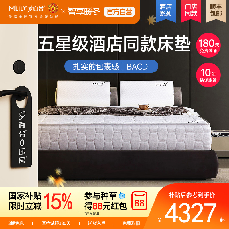 弹簧酒店同款承托28cm记忆棉床垫