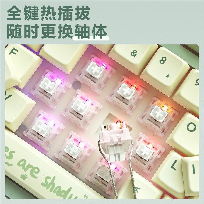 雷咖泽R98Pro植物园客制化机械键盘GASKET结构三模热插拔绿色键盘