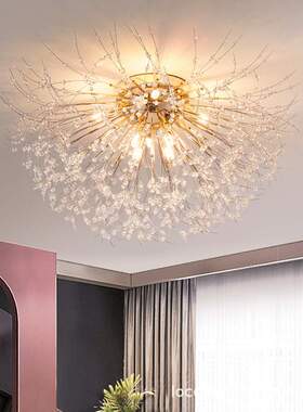 北欧卧室吸顶灯水晶灯客厅餐厅创意圆形蒲公英droplight室内超亮