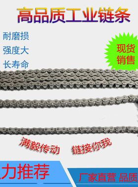 国标工业链条传动链滚子链条04C05B06B/C08A/B10A/B12A/B16A/B40A