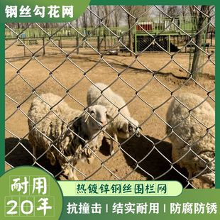 农村菜地羊舍园鱼池鸡棚窝猪圈铁栏栅围栏围网不生锈铁丝网子爬藤