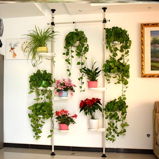 极速新款 窗台多肉绿萝顶天立地花架子室内家用飘窗多层省空间阳台
