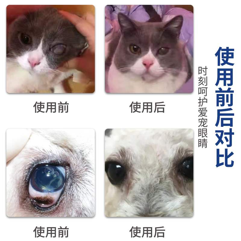 狗狗白内障滴眼液宠物猫咪老年犬初期角膜炎去眼屎泪痕专用眼药水