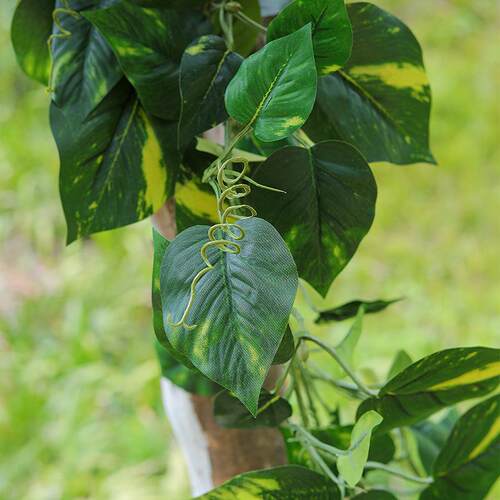 B1级防火阻燃树叶仿真绿植假绿叶绿萝藤条葡萄叶子防燃植物仿真花