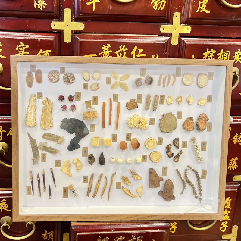 创意新款中药g标本合集木框中医文创展示定制纯手工装饰画画框