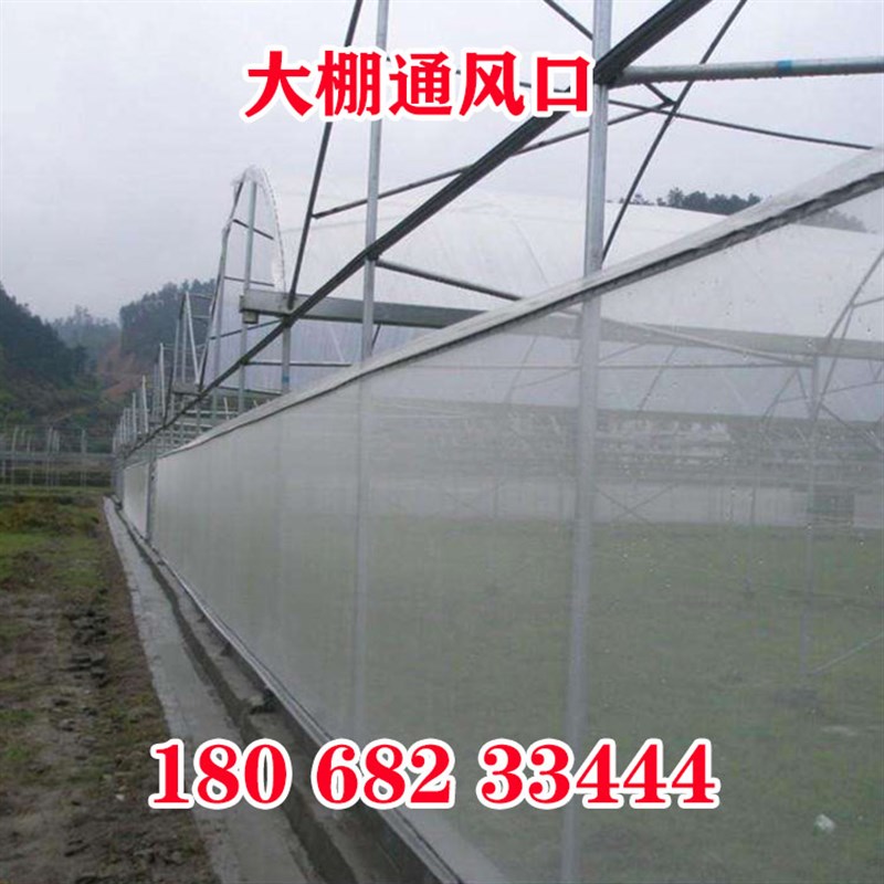 果树防虫网脐橙莲雾杨梅网罩果树防鸟的网防果蝇网蔬菜大棚防虫网