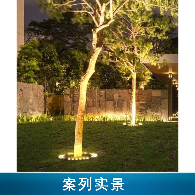 埋地款抱树灯照树灯七彩色射树灯户外I防水嵌入式环形景观投光灯