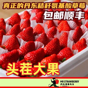 丹东草莓先生马家岗秸秆99奶油新鲜红颜大果东港九九牛奶礼盒装