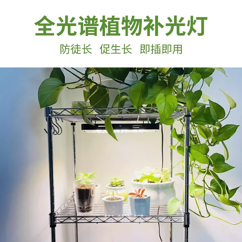 全光谱LED植物生长灯户外百香果火龙果防水补P光灯 育苗植物补光