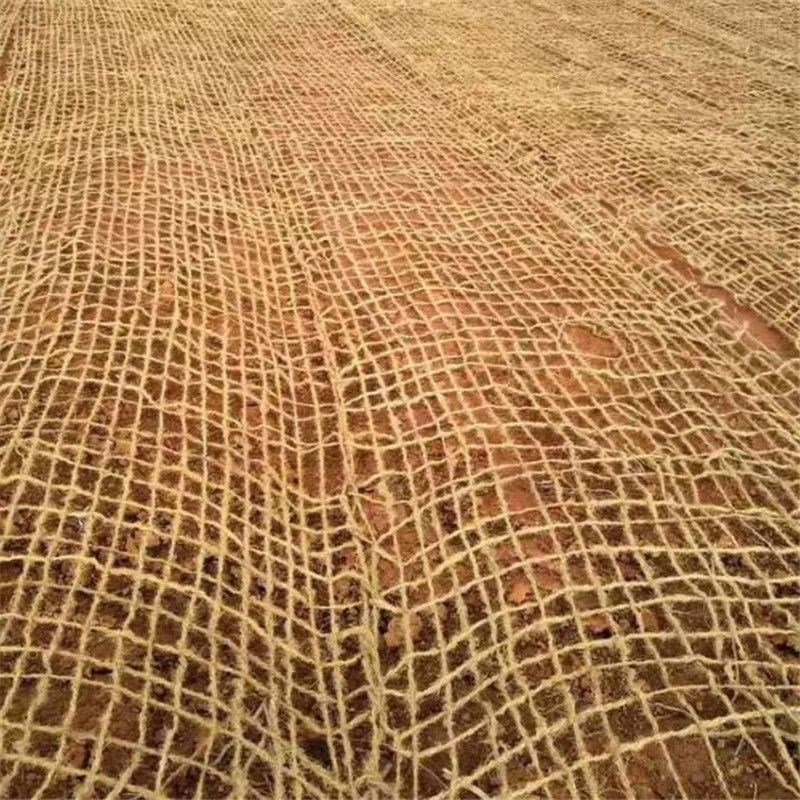 椰网椰纤维网CF网护坡固土网高速公路矿山挂Z网厂家直销